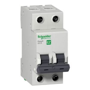 TACO RIEL SCH EASY9 2X20A 6KA 230V - SCHNEIDER EZ9F56220
